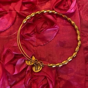 Alex and ani bracelet beaded